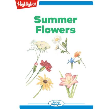 Summer Flowers