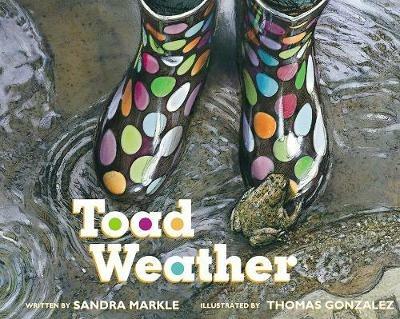 Toad Weather - Sandra Markle - cover