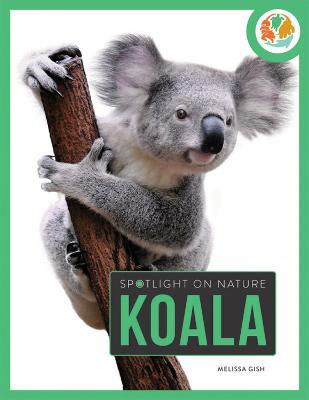 Spotlight on Nature: Koala - Gah - cover