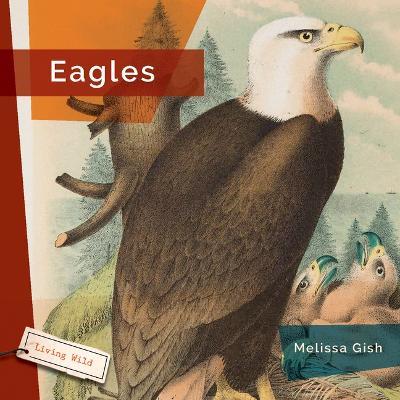 Eagles - Melissa Gish - cover