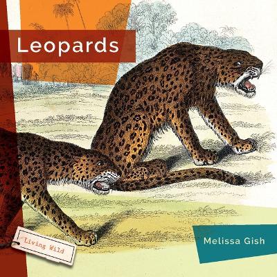 Leopards - Melissa Gish - cover
