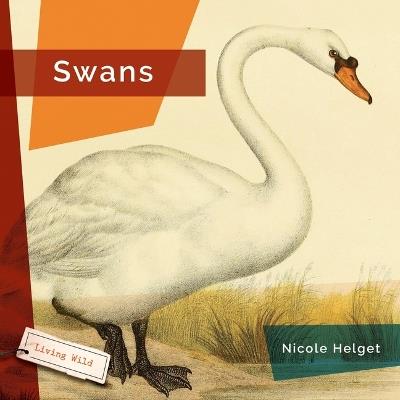 Swans - Nicole Helget - cover