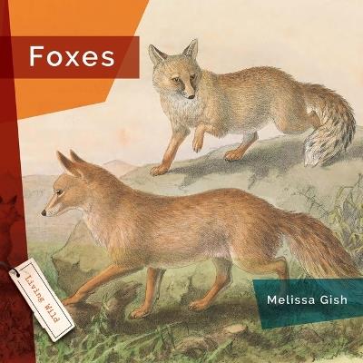Foxes - Melissa Gish - cover