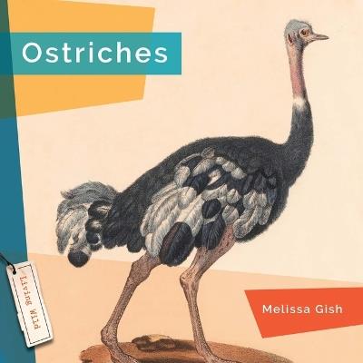Ostriches - Melissa Gish - cover