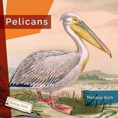 Pelicans - Melissa Gish - cover