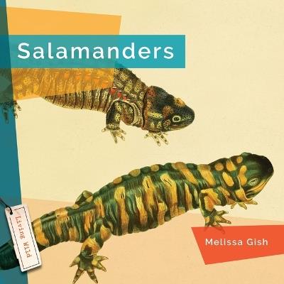 Salamanders - Melissa Gish - cover