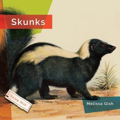 Skunks - Melissa Gish - cover