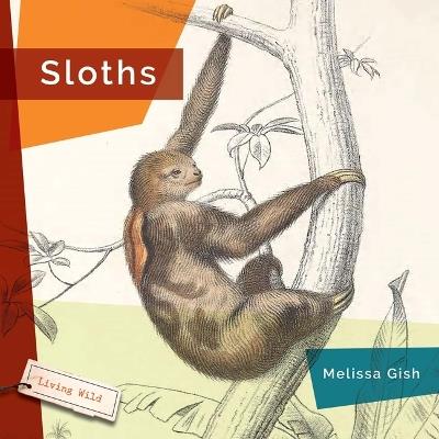 Sloths - Melissa Gish - cover