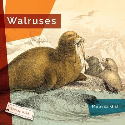 Walruses - Melissa Gish - cover