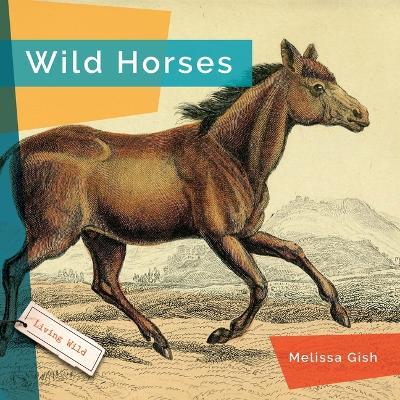 Wild Horses - Melissa Gish - cover