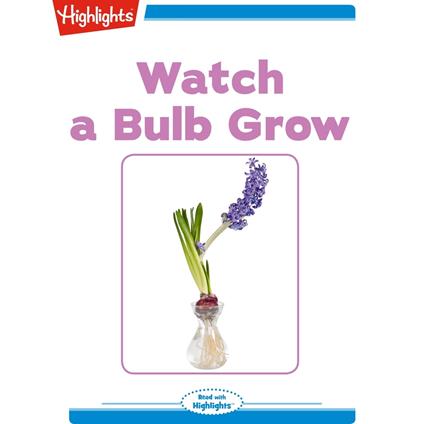 Watch A Bulb Grow