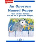 Opossum Named Poppy, An