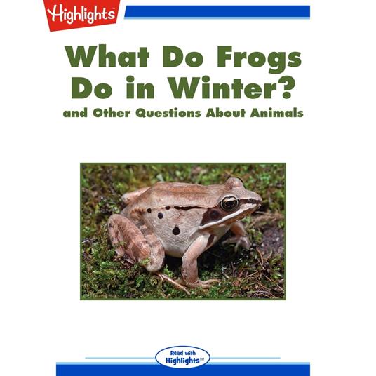 What Do Frogs Do in Winter?
