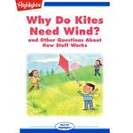 Why Do Kites Need Wind?