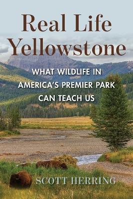 Real Life Yellowstone: What Wildlife in America's Premier Park Can Teach Us - Scott Herring - cover