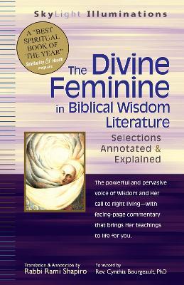 The Divine Feminine in Biblical Wisdom Literature: Selections Annotated & Explained - cover