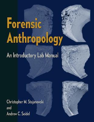 Forensic Anthropology: An Introductory Lab Manual - Christopher M. Stojanowski and Andrew C. Seidel,Andrew C. Seidel - cover