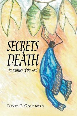 Secrets of Death: The Journey of the Soul - David E Goldberg - cover