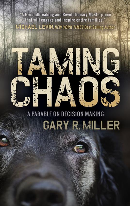 Taming Chaos - Gary R. Miller - ebook
