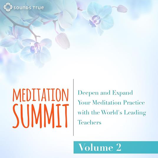 The Meditation Summit: Volume 2