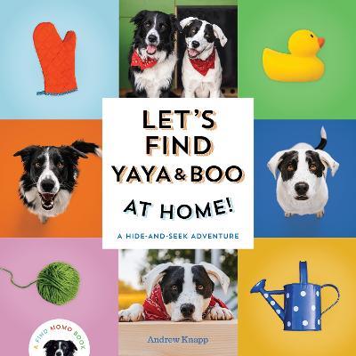 Let's Find Yaya and Boo at Home! : A Hide-and-Seek Adventure  - Andrew Knapp - cover