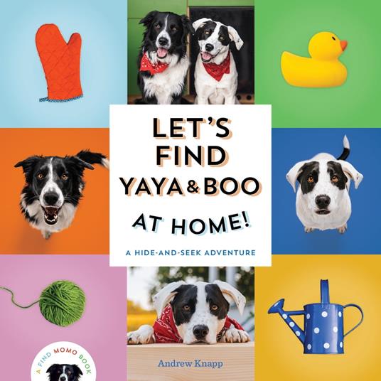 Let's Find Yaya and Boo at Home! - Andrew Knapp - ebook