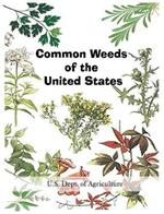Common Weeds of the United States
