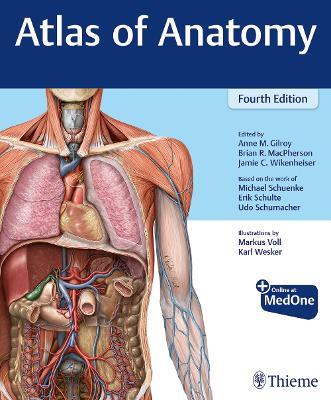Atlas of Anatomy - Anne M Gilroy,Brian MacPherson,Jamie Wikenheiser - cover