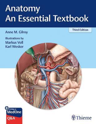Anatomy - An Essential Textbook - Anne M Gilroy - cover