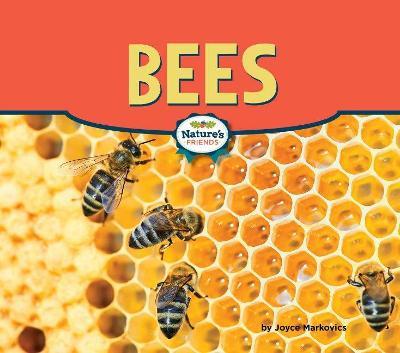 Bees - Joyce Markovics - cover
