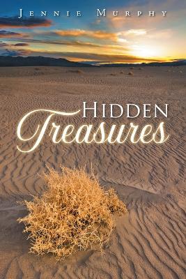 Hidden Treasures - Jennie Murphy - cover