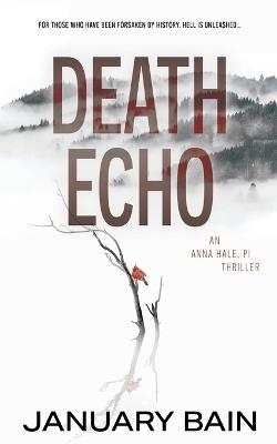 Death Echo: An Anna Hale, PI Thriller - January Bain - cover