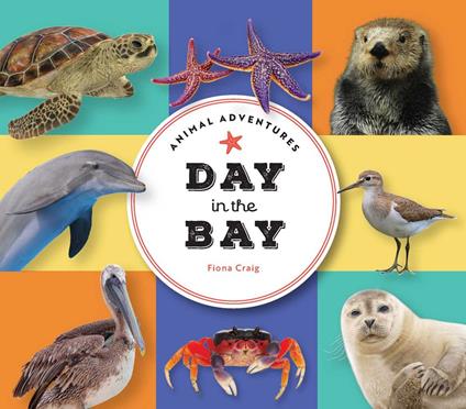 Animal Adventures: Day in the Bay - Fiona Craig - ebook