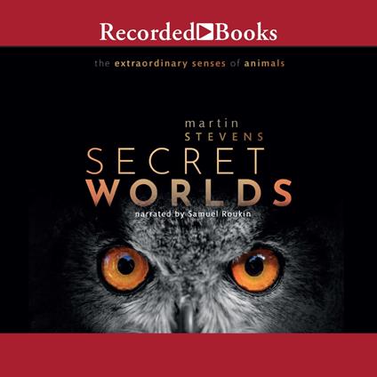 Secret Worlds