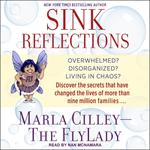 Sink Reflections