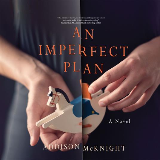 Imperfect Plan, An