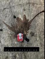 Paved Paradise: a look at what is left behind
