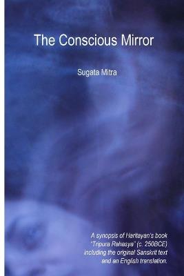 The Conscious Mirror - Sugata Mitra - cover