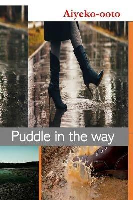 Puddle in The Way: Fictional Novel - Cash Onadele - cover