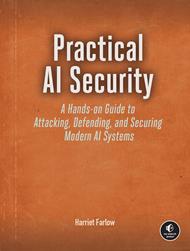 Practical AI Security