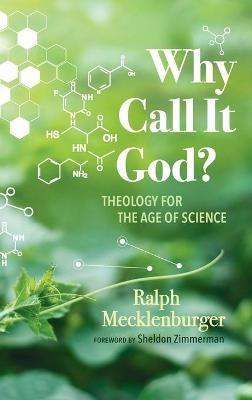 Why Call It God?: Theology for the Age of Science - Ralph Mecklenburger - cover