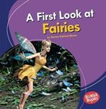 A First Look at Fairies