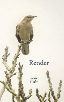Render - Gene Hult - cover