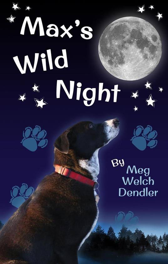 Max's Wild Night - Meg Welch Dendler - ebook
