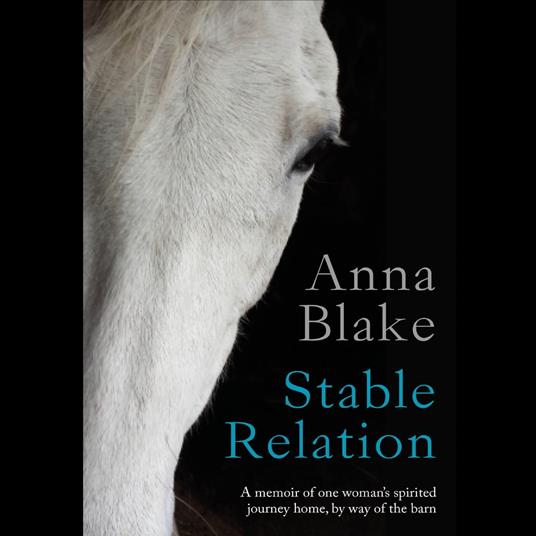 Stable Relation