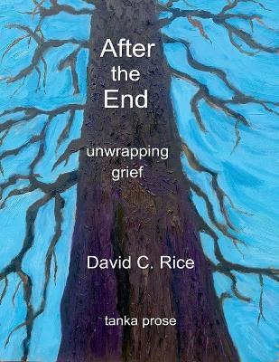 After the End: Unwrapping Grief - David Rice - cover