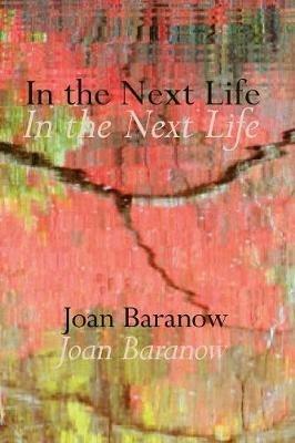 In the Next Life - Joan Baranow - cover