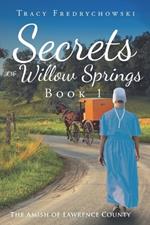 Secrets of Willow Springs - Book 1: The Amish of Lawrence County