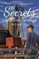 Secrets of Willow Springs - Book 3