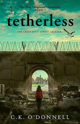 Tetherless - C K O'Donnell - cover